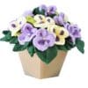 Knitting Pattern-Pot of Dasies, flower display, DK - Image 2