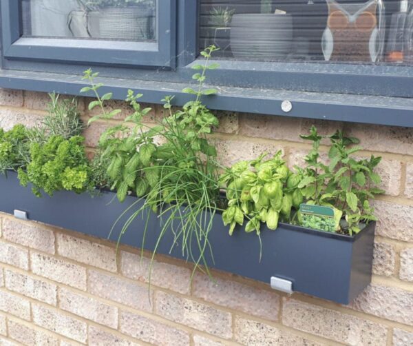 Slate Grey Wall Mounted Planter, smooth painted grey colour