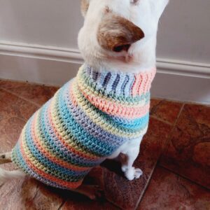 Crochet striped dog Jumper in pastel shades of Yellow, Orange, Blue and Green, shown on a white Jack Russell Terrier.