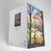 Autumn Woodland greetings card - Image 4