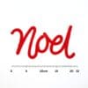 Knitted wire Christmas decoration with the word 'Noel'