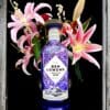 Ben Lomond Scottish Gin Bottle Light (70cl with 100 micro LED Purple lights and original bottle cap)