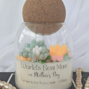 succulent candle in glass storage jar with cork ball lid