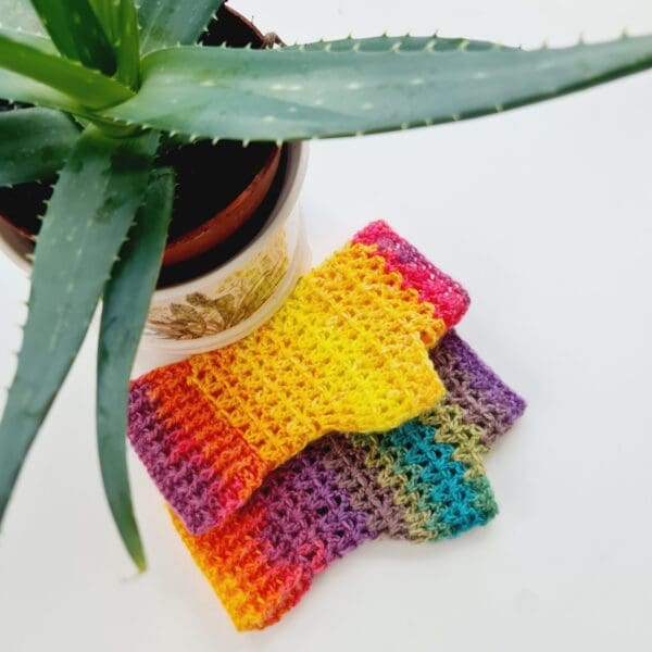 Rainbow fingerless gloves mitts, made by Sarah Lou Crafts, in a soft variegated yarn. Shown laying on a white table with an Aleo Vera plant to the side.