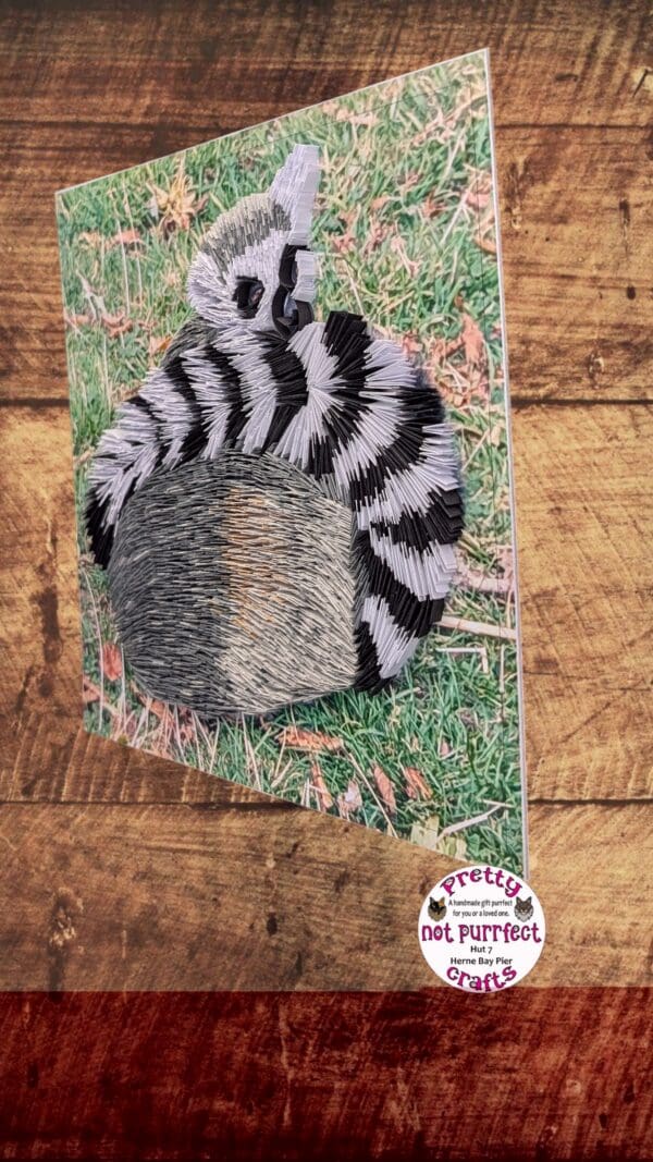 Quilled Lemur from Wingham wildlife park - Image 6