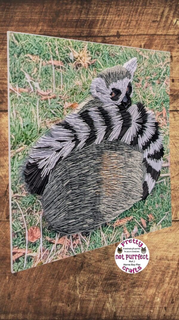 Quilled Lemur from Wingham wildlife park - Image 5
