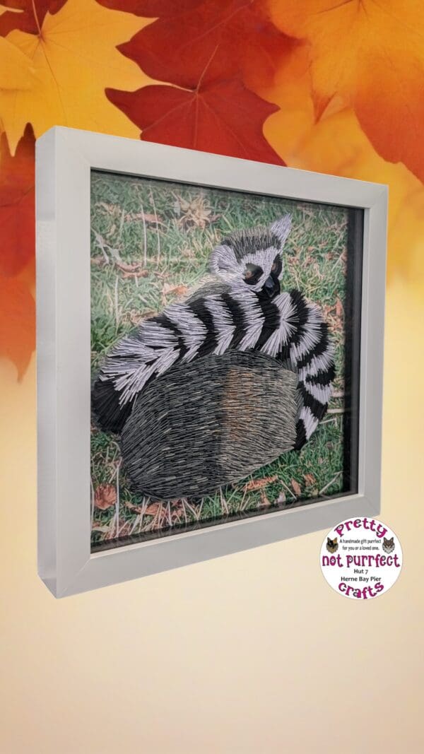 Quilled Lemur from Wingham wildlife park - Image 3