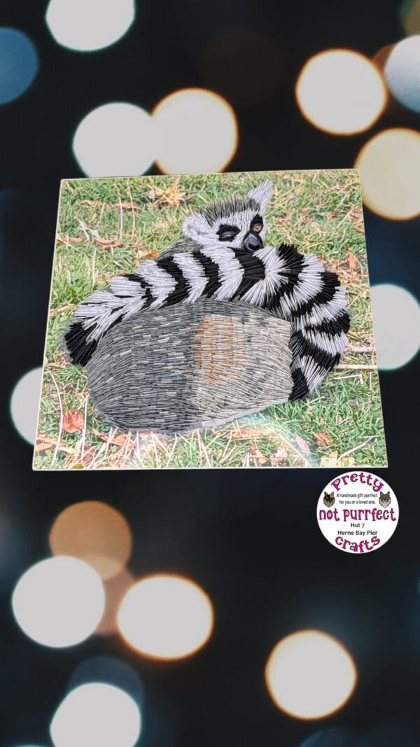 Quilled Lemur from Wingham wildlife park - Image 2