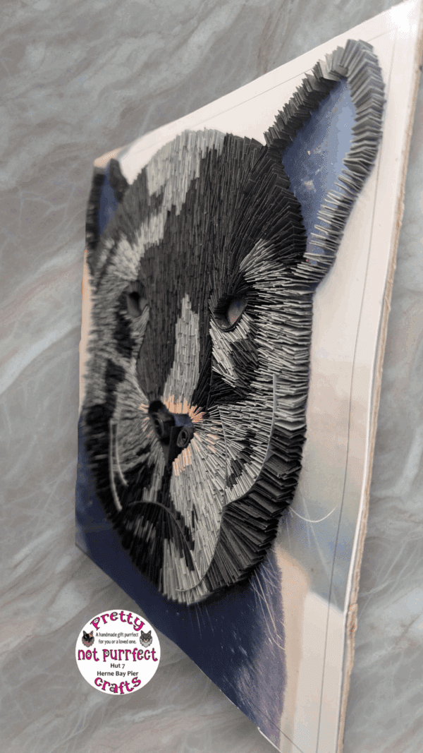 Quilled Luna at Wingham - Image 4