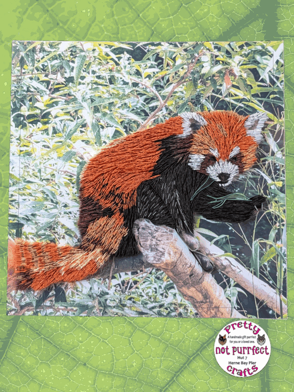 Quilled Red Panda