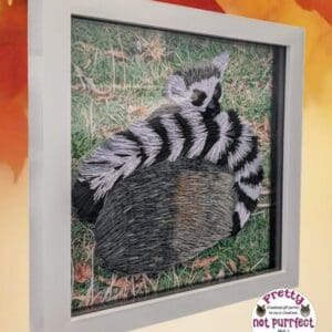 Quilled Lemur from Wingham wildlife park