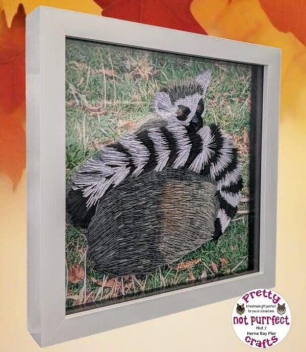 Quilled Lemur from Wingham wildlife park