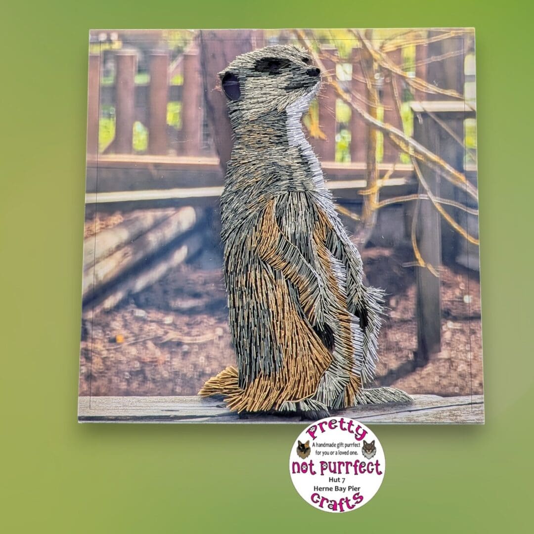 Quilled Meerkat - Image 4