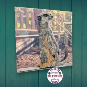 Quilled Meerkat