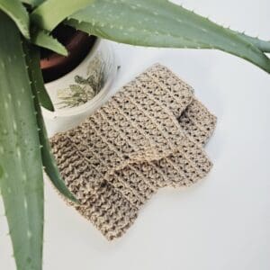 Overhead shot of coffee-coloured crochet mitts arranged next to an aloe vera plant.